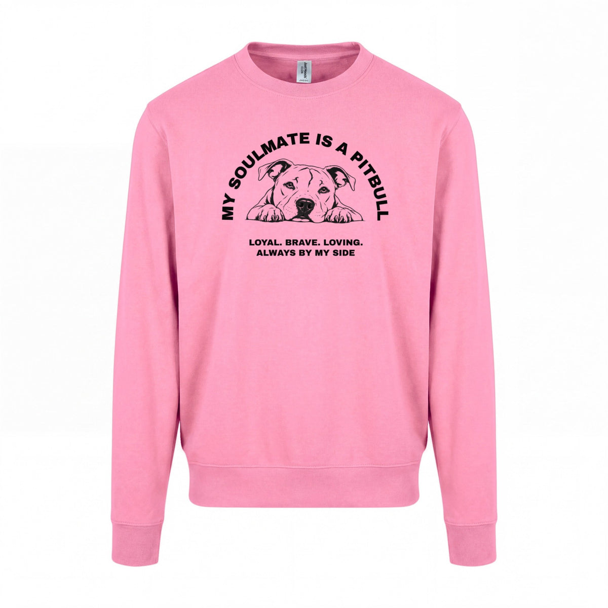 My Soulmate is a Pitbull - Regular Fit Sweater