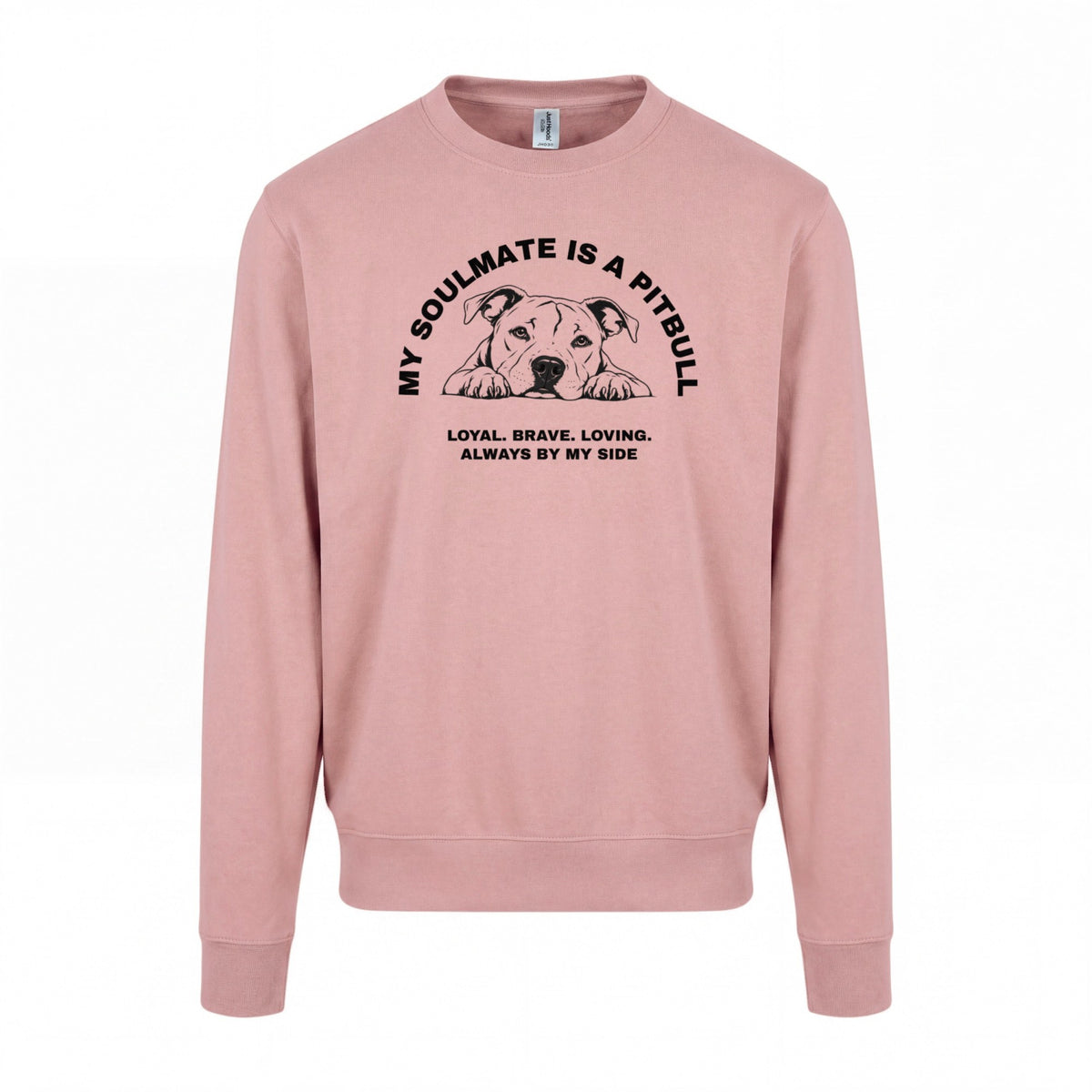 My Soulmate is a Pitbull - Regular Fit Sweater