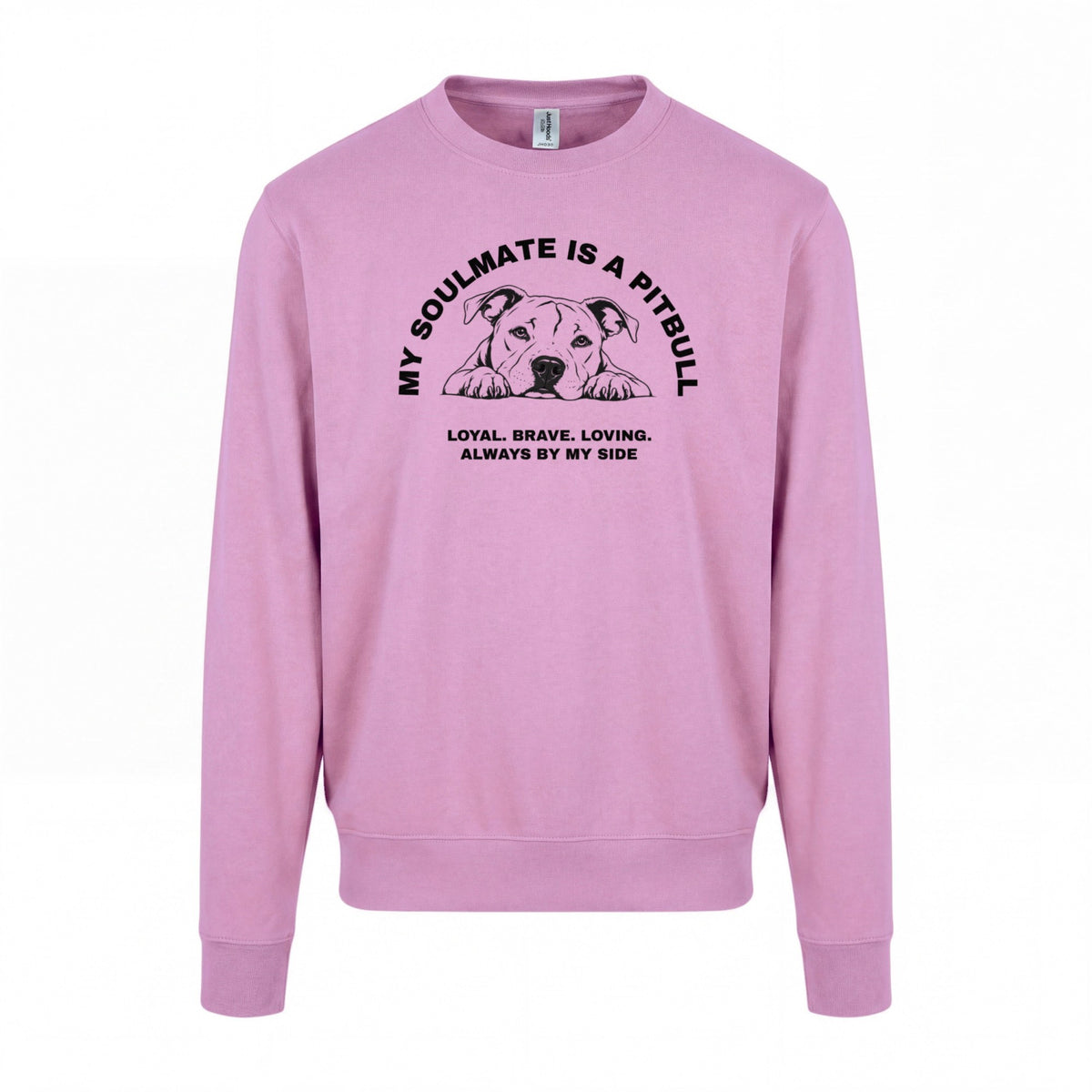 My Soulmate is a Pitbull - Regular Fit Sweater