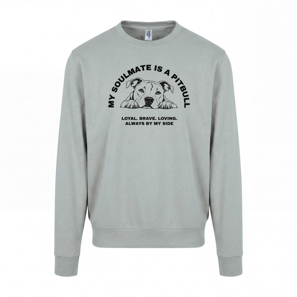 My Soulmate is a Pitbull - Regular Fit Sweater