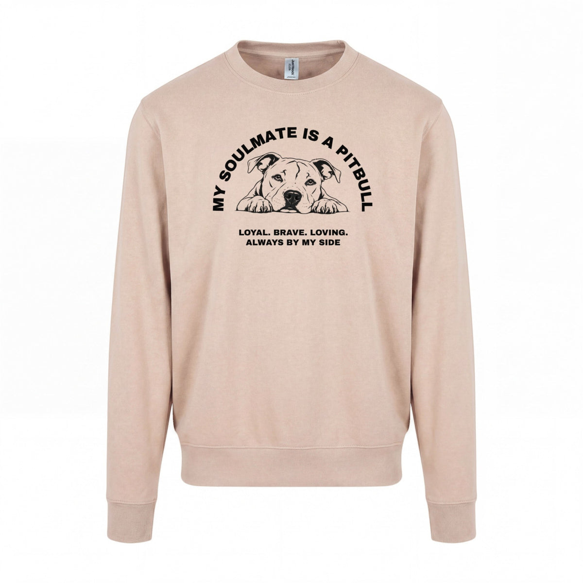 My Soulmate is a Pitbull - Regular Fit Sweater