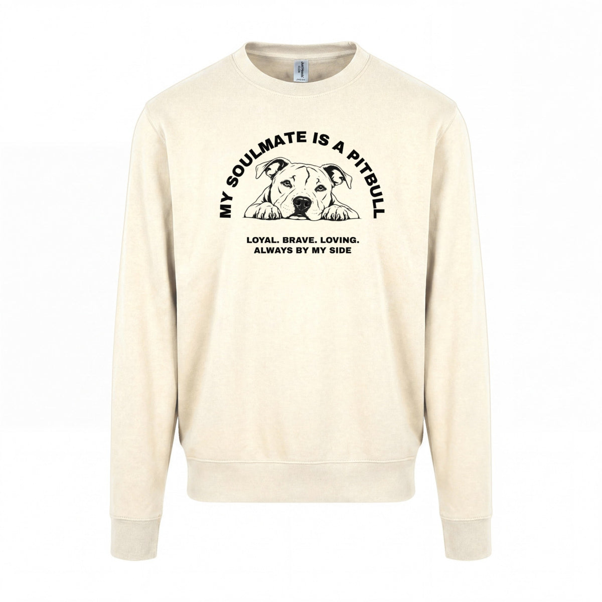 My Soulmate is a Pitbull - Regular Fit Sweater