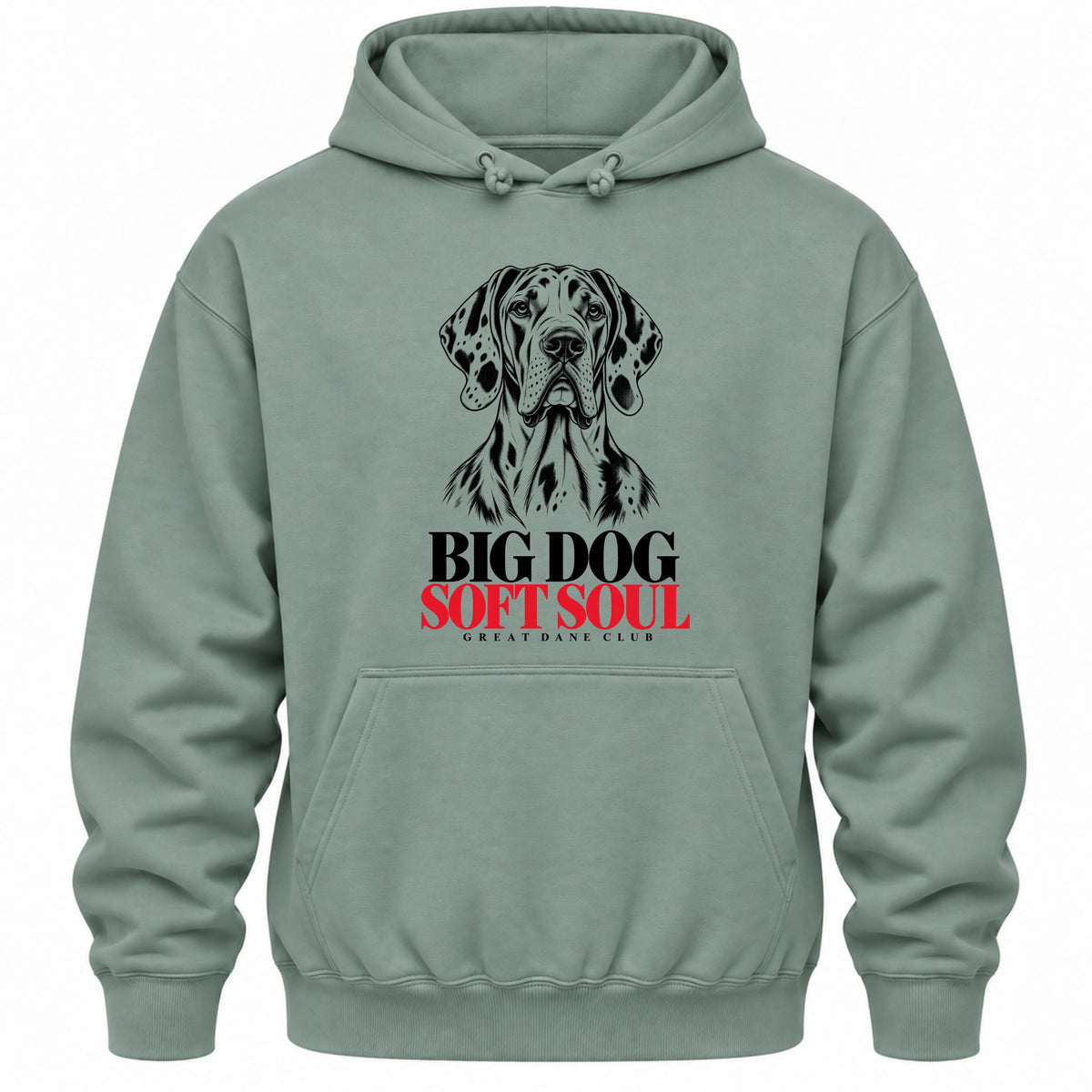 Big Dog. Soft Soul - Regular Fit Hoodie